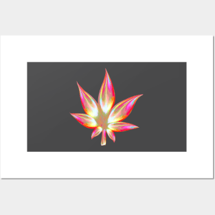 Rosy Iridescent Cannabis Posters and Art